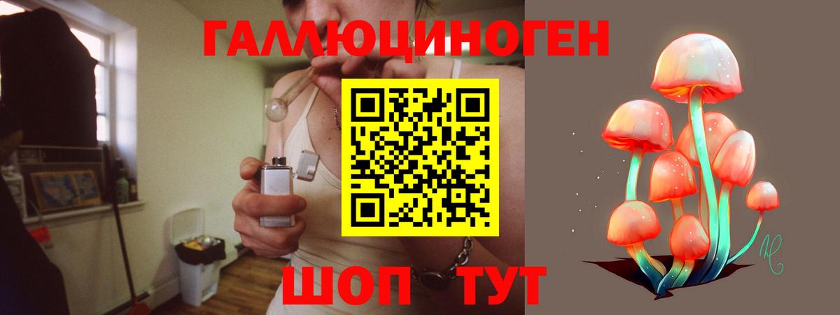 Копейск  Галлюциногенные грибы Psilocybe  Вход с VPN 